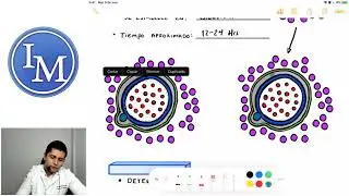 Embriología | Clase 2 | Ejes Embrionarios