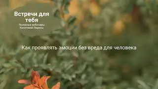 Как проявлять эмоции без вреда для человека