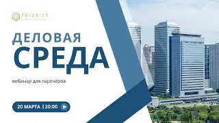 Обзор проектов и направлений TRIUNITY | Деловая среда для партнёров (20.03.2024г.)