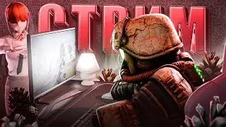 STALCRAFT • нью пивипи сборка, фулл в дс🍓