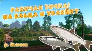 Русская рыбалка 4 - РАБОЧАЯ ТОЧКА! НА ЕЛЬЦА И УКЛЕЙКУ! ДЛЯ ЗАКРЫТИЯ НА р. Вьюнок!