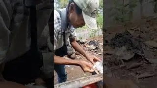 Bakso Tanggung besar dan murah hanya 10 ribu