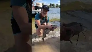 Another day, another #catfish! #fishing