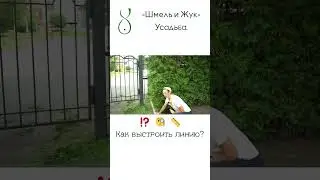 Обрезка туй