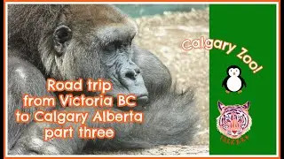 Road Trip from Victoria BC to Calgary Alberta, part three