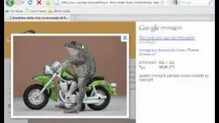 come-scaricare-una-foto-da-internet