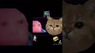 Кот Васька