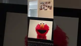 Elmo world hats intro