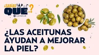 ¡Sube tus defensas con la ACEITUNA! Conoce sus secretos en ¿Sabías qué?