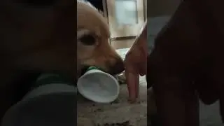 моя баночка.