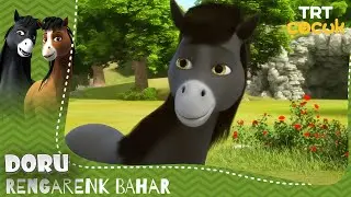 Doru | Rengarenk Bahar