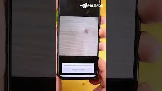Приложение для фиксации нарушений ПДД