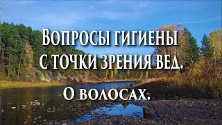🌈 Вопросы гигиены с точки зрения вед. 🌺О волосах. Тугутов Л.М.
