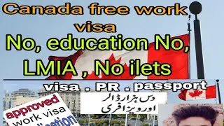 new Brunswick critical worker pilot program/Canada free work visa /Canada immigration