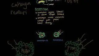Suatu fotosistem adalah ....
a. suatu kump... | Biologi SMA Kel | Kelas 12 | 2 | Biologi