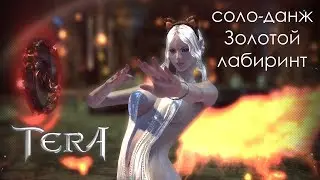 TERA Online - Прохождение магом соло-данжа Золотой лабиринт за 1:48. #1