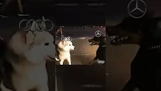 🥶Audi vs 😈Mercedes vs 💀BMW 