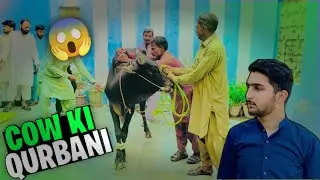 Qurbani bhi ho gai 🐄 | Bakra eid vlog 🥵 #dangerouscow