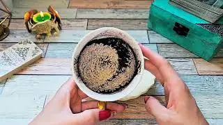 🌕💯..ЧТО НА ПОРОГЕ ? ЧТО НА ДОРОГЕ ?ЧТО ПО СУДЬБЕ ..📩☝️