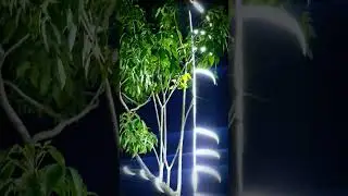 රෑට faculty එකේ ලස්සන 🥰 #fypシ #viral #facultyofmedicine #universityofperadeniya #night #kandy