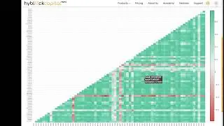 Hyblock Academy: Correlation Scanner