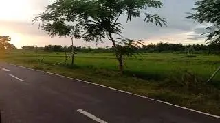 Jalan Bareng