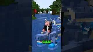 3 BEST Minecraft Commands! 😯 
