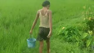 Awesome Fishing Videos ll Queen Vlogs ll Village  Little Girl Catching  Fish With Sepa😃 