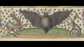 Kiss from a Rose - Seal [BARDCORE][MEDIEVAL][TAVERNWAVE] HI FIDELITY