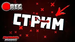 🔵СТРИМ🔴 рулетка пиар оценка
