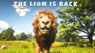 Angry Lion Simulator Lion Game