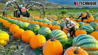 The Most Modern Agriculture Machines That Are At Another Level , How To Melons In Farm