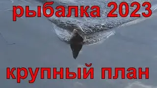 рыбалка на поплавок 2023 3 мая  густера поперла! рыбалка на удочку на реке.