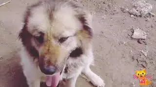 Лайма и Джена устройли дескач