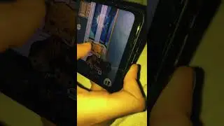 Pt 1