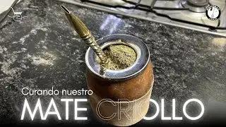 ¿CÓMO CURAR UN MATE DE CALABAZA CON EL USO? 🧉👇🏼