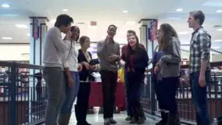 Penny Loafers Serenading at the Bookstore