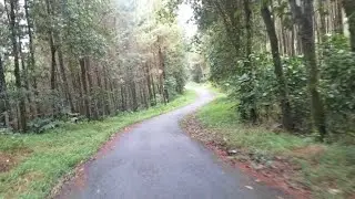 HUTAN LINGGO ASRI PEKALONGAN
