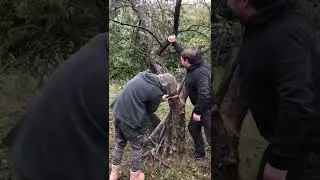 Boyz doing woodwork