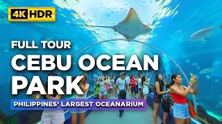 CEBU OCEAN PARK Full Tour | The LARGEST Ocean Park in the Philippines | Complete Walkthrough