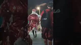 #shorts#Витязево*здравствуй ж*па Новый год.Видимо захотел погреться, бедолага🤣🧑‍🎄*приколы на Паралии