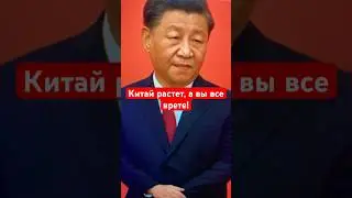 РОСТ КИТАЯ ФЕЙК!