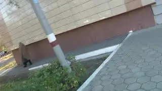 безпутина