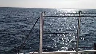 1 сентября 2021 г.