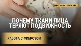 Фиброз тканей лица: как вернуть подвижность