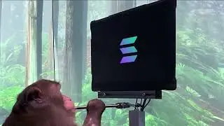 Введение в Neon EVM