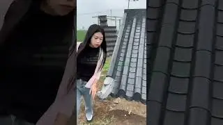 Amazing Roof!