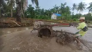جرار حقل الأرز يزرع الأرض لزراعة الأرز، مزارع إندونيسي