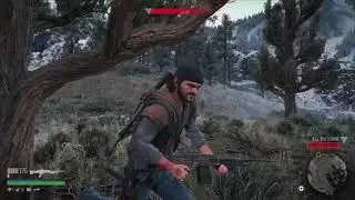 DAYS GONE ON PC
