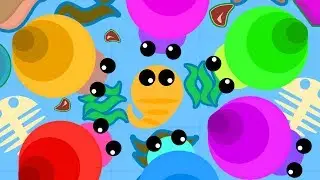 MOPE.IO FUNNY SHRIMP IN THE OCEAN AND ABOUT MOPE IO GAME